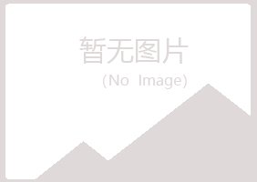 玉林字迹会计有限公司